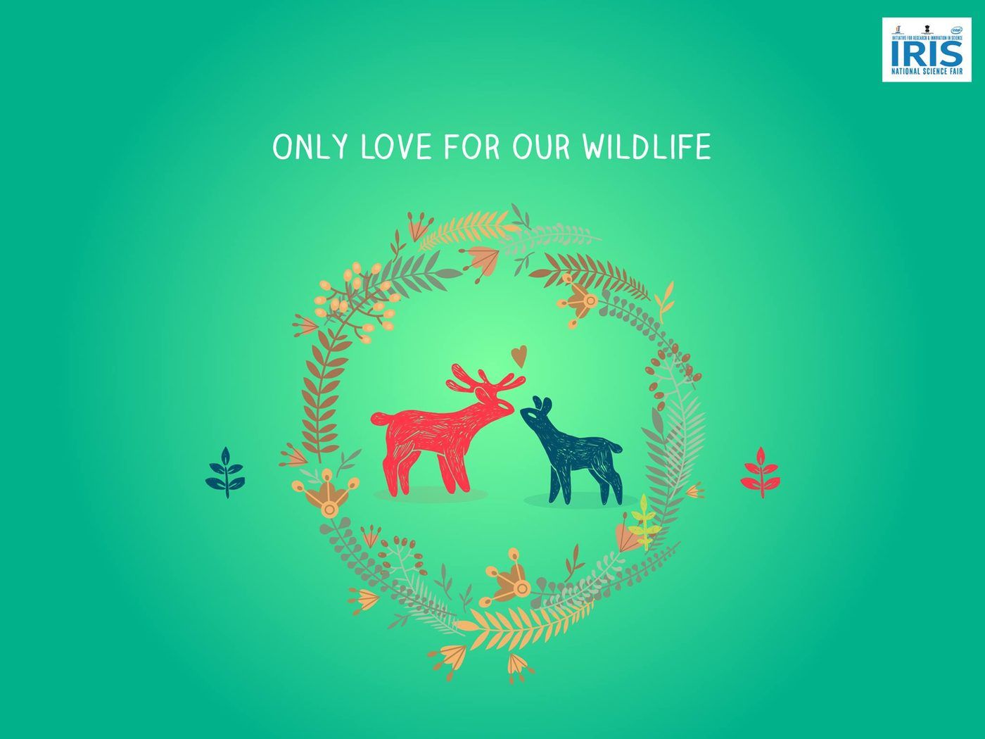 Only love for our wildlife